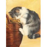 A study of a kitten climbing on a basket, oil on canvas.