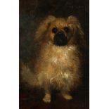 19th century French school, a study of a small dog, oil on canvas, indistinctly signed, 8.5" x 6".