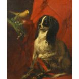 19th century English school. Seated spaniel with Bird and flowers, oil on canvas, 20.5" x 17.5".