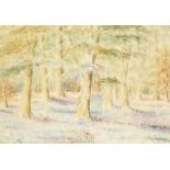 20th century school, a woodland scene with wildflowers, watercolour, indistinctly signed, 9" x 13".