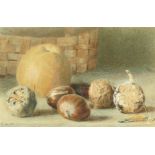 William Henry Hunt (1790-1864) British. A Still Life of an Apple and Nuts, Watercolour, Signed, 4.
