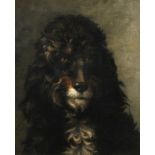 Lewis Dorey (1836-1914) French, a study of a dog, oil on canvas, signed, 18" x 15".