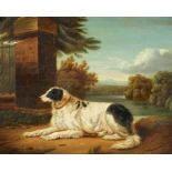 19th Century English School. Portrait of a Dog in a Parkland Landscape with a Lake beyond, Oil on