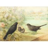 George Rankin (1864-1937) British. Blackbirds feeding in a Country Garden, Watercolour, Signed.