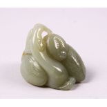 A GOOD CHINESE CARVED CELADON JADE GOOSE & TURTLE CARVING, 5.5cm