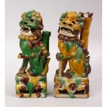 A PAIR OF 19TH CENTURY CHINESE SANCAI PORCELAIN FIGURES / CANDLESTICKS OF LION DOGS, both figures