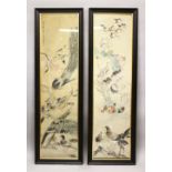 A LARGE PAIR OF CHINESE WATERCOLOUR PAINTINGS OF BIRDS, the large pictures depicting an array of