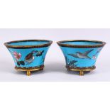 A PAIR OF JAPANESE MEIJI PERIOD CLOISONNE JARDINIERE'S, each with turquoise enamel ground with