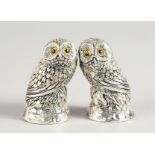 A PAIR OF .800 OWL SALT AND PEPPERS.