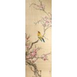 THREE CHINESE WATERCOLOUR SCROLLS, flowers and birds.