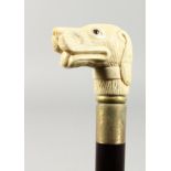 A WALKING STICK the bone handle carved as a dog's head.