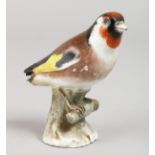 A 19TH CENTURY MEISSEN BIRD on a branch. Cross swords mark in blue. 3.5ins high.