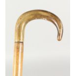 A 19TH CENTURY WALKING STICK with RHINO HANDLE. 35ins long.