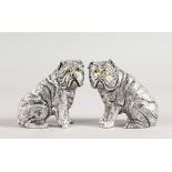 A PAIR OF .800 PUG DOG SALT AND PEPPERS.