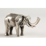 A SOLID SILVER NOVELTY ELEPHANT.