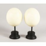 A PAIR OF MOUNTED OSTRICH EGGS. 7ins.