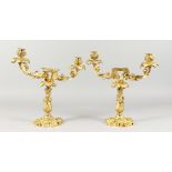 A SUPERB PAIR OF LOUIS XVI ORMOLU TWO-BRANCH CANDLESTICKS, with acanthus and entwined dragons,