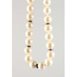 A PEARL NECKLACE, INTERSPERSED WITH SMALL DIAMONDS, with an 18ct white gold clasp. 17ins long.