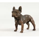 A SMALL BRONZE MODEL OF A BULLDOG. 3ins long.