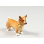 A ROYAL WORCESTER MODEL OF A CORGI, date code 1955 shape 3243.