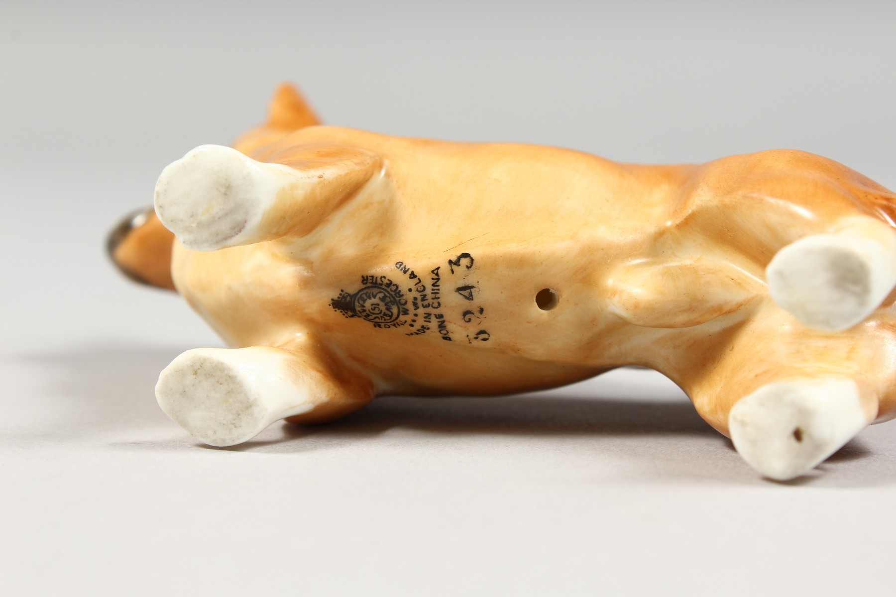 A ROYAL WORCESTER MODEL OF A CORGI, date code 1955 shape 3243. - Image 4 of 4