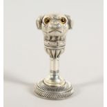 A SILVER PLATE PUG DOG SEAL.