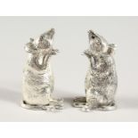 A PAIR OF .925 SILVER PLATE MICE SALT AND PEPPER.