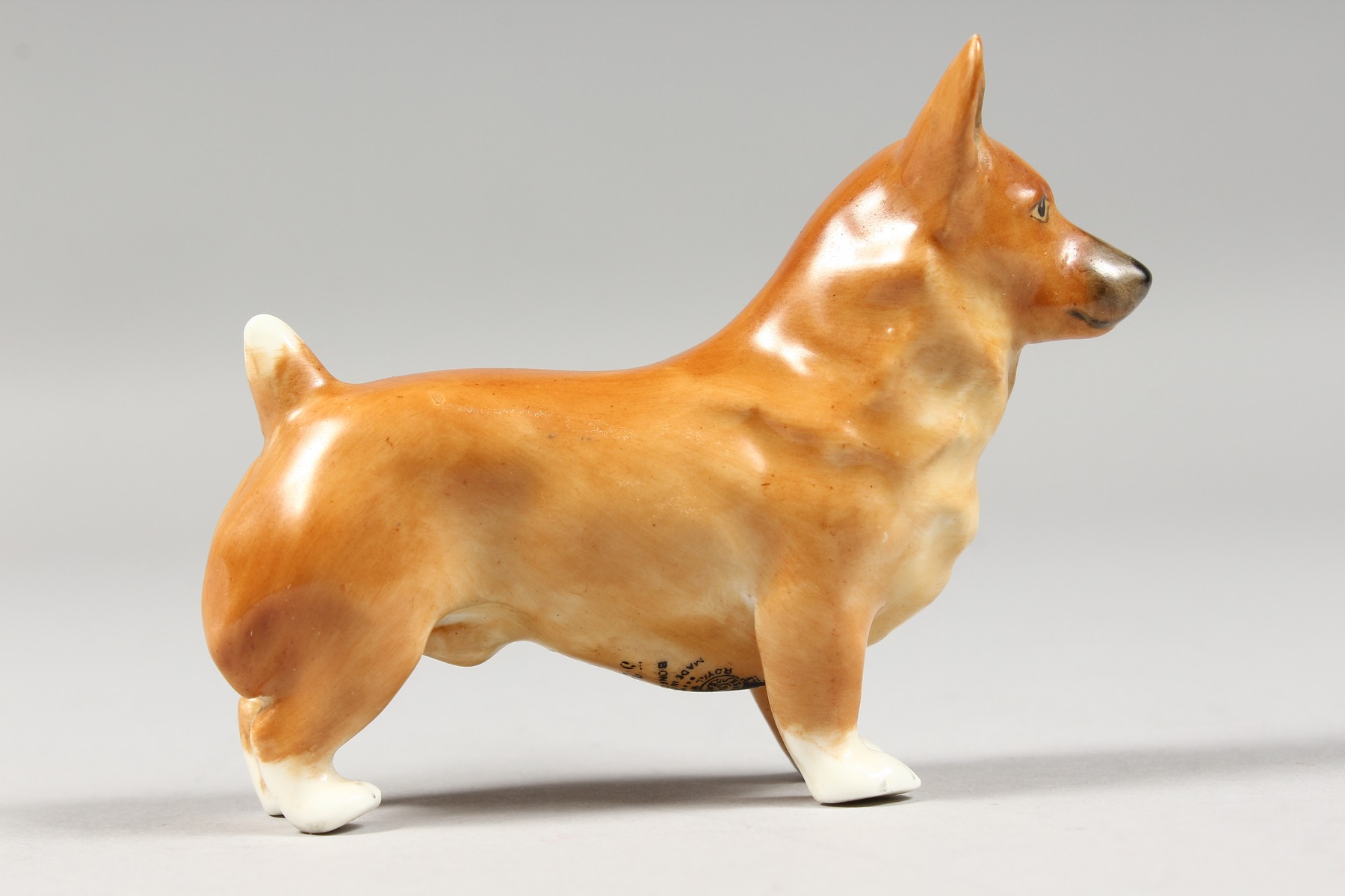 A ROYAL WORCESTER MODEL OF A CORGI, date code 1955 shape 3243. - Image 2 of 4