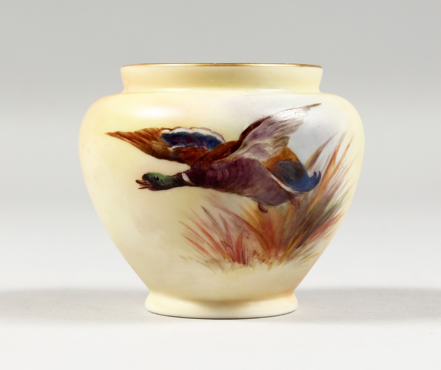 AN EARLY 19TH CENTURY LOCKE AND CO. WORCESTER BLUSH IVORY VASE painted with a mallard duck by Walter