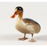 A SUPERB RUSSIAN COLOURED HARDSTONE DUCK with gold feet. 4ins long.