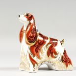 A ROYAL CROWN DERBY AMERICAN SPANIEL DOG PAPERWEIGHT, gold stopper and box.