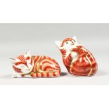A ROYAL CROWN DERBY PAPERWEIGHT SLEEPING GINGER KITTEN limited edition with certificate. No. 502