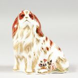A ROYAL CROWN DERBY PAPERWEIGHT CAVALIER KING CHARLES SPANIEL, gold stopper and box.