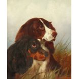 Colin Graeme (1858-1910), A study of two spaniels, oil on canvas, signed and dated, 11.5" x 9.5".