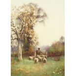 Benjamin Sigmund (1857-1947) British, A Shepherd and his flock beneath blossom, watercolour, signed,