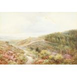 Walter Duncan (1848-1932) British, A pair of views of heathland scenes, watercolour, signed and