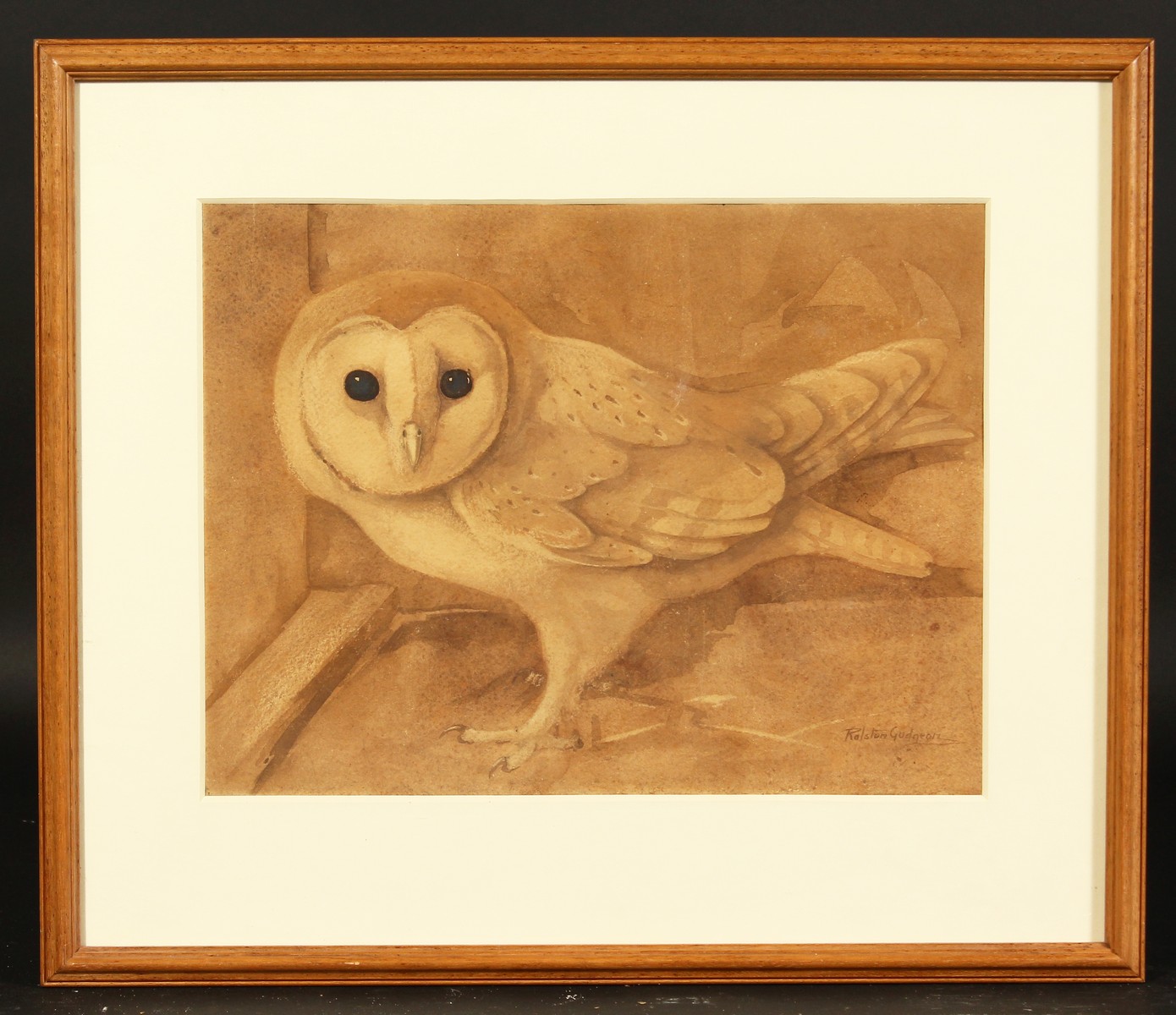 Ralston Gudgeon (1910-1984) British, study of a barn owl, watercolour, signed, 11" x 14".