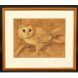 Ralston Gudgeon (1910-1984) British, study of a barn owl, watercolour, signed, 11" x 14".