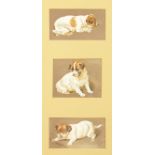 Late 19th century British, Three studies of a puppy in various poses, watercolour, initialled 'C. B.