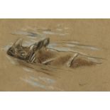 Raymond John Vandenbergh (1889-1960's) British, 'Rhinoceros Having a Swim', pastel, signed with