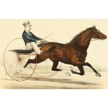'St Julian'. A scene of a racing horse and carriage, a print, published by Currier and Ives, 11"x