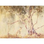 A. Barnes (early 20th century), Australian school, a scene of wallabies and birds amongst gum trees,