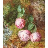 Jabez Bligh (19th century) British, A study of roses in a naturalistic setting, watercolour, signed,