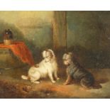 George Armfield (1808-1893) British, An interior scene with two alert terriers ratting, oil on