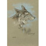 Raymond John Vandenbergh (1889-1960's) British, 'A Portrait of a Coyote', Pastel, signed, 10" x 7".