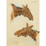 Raymond John Vandenbergh (1889-1960's) British, 'Cow Moose', pastel on paper, signed and