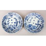 A GOOD PAIR OF 18TH CENTURY CHINESE BLUE & WHITE PORCELAIN PLATES, each with panel decoration