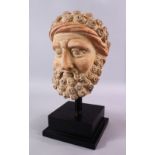 A LARGE GHANDARA MODEL STONE HEAD IN THE GREEK STYLE, the head in the greek style, on a wooden base,