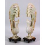 A PAIR OF CHINESE CARVED JADE FIGURES OF PEACOCKS, both with their tails aloft, on hardwood