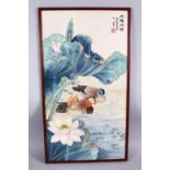 A 19TH / 20TH CENTURY CHINESE WATER COLOUR PAINTING OF DUCKS - SIGNED, the ducks at waterside with